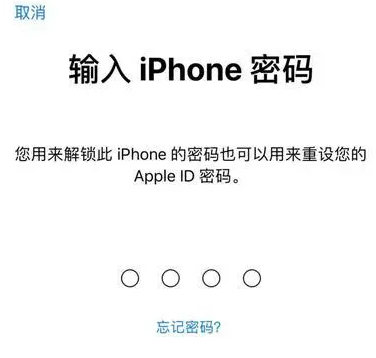 大新苹果15维修网点分享iPhone 15六位密码怎么改四位 