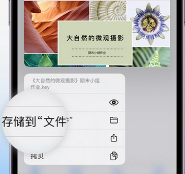 大新apple维修中心分享iPhone文件应用中存储和找到下载文件