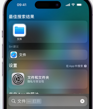 大新apple维修中心分享iPhone文件应用中存储和找到下载文件 