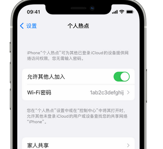 大新apple服务站点分享iPhone上个人热点丢失了怎么办 