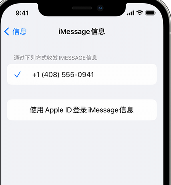 大新apple维修iPhone上无法正常发送iMessage信息 