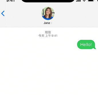 大新apple维修iPhone上无法正常发送iMessage信息