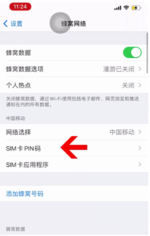 大新苹果14维修网分享如何给iPhone14的SIM卡设置密码 