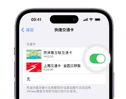 大新apple维修点分享iPhone上更换Apple Pay快捷交通卡手绘卡面 