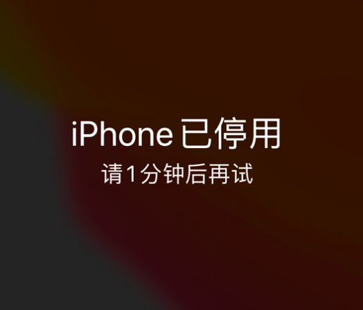 大新苹果手机维修分享:iPhone 显示“不可用”或“已停用”怎么办？还能保留数据吗？ 