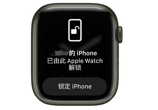 大新苹果手机维修分享用 AppleWatch 解锁配备面容 ID 的 iPhone方法 