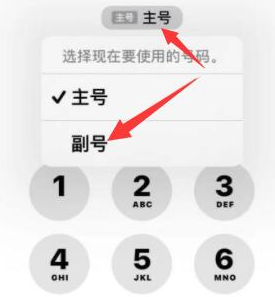 大新苹果14维修店分享iPhone 14 Pro Max使用副卡打电话的方法 