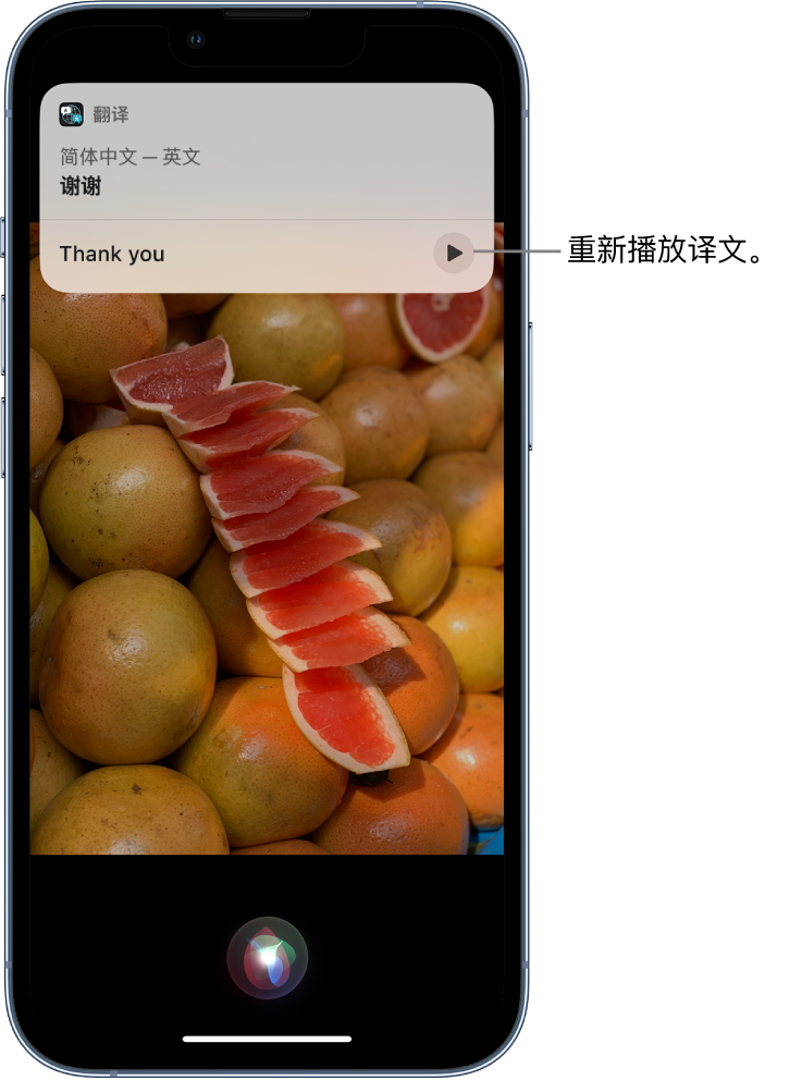 大新苹果14维修分享 iPhone 14 机型中使用 Siri：了解 Siri 能帮你做什么 