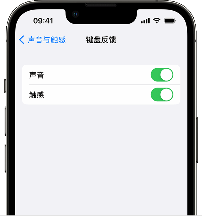 大新苹果14维修分享iPhone 14 系列机型如何开启键盘声音或触感反馈 