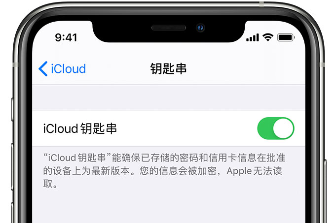 大新苹果手机维修分享在 iPhone 上开启 iCloud 钥匙串之后会储存哪些信息 