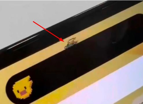 大新苹果14维修分享iPhone 14 Pro Max灵动岛怎么养宠物 