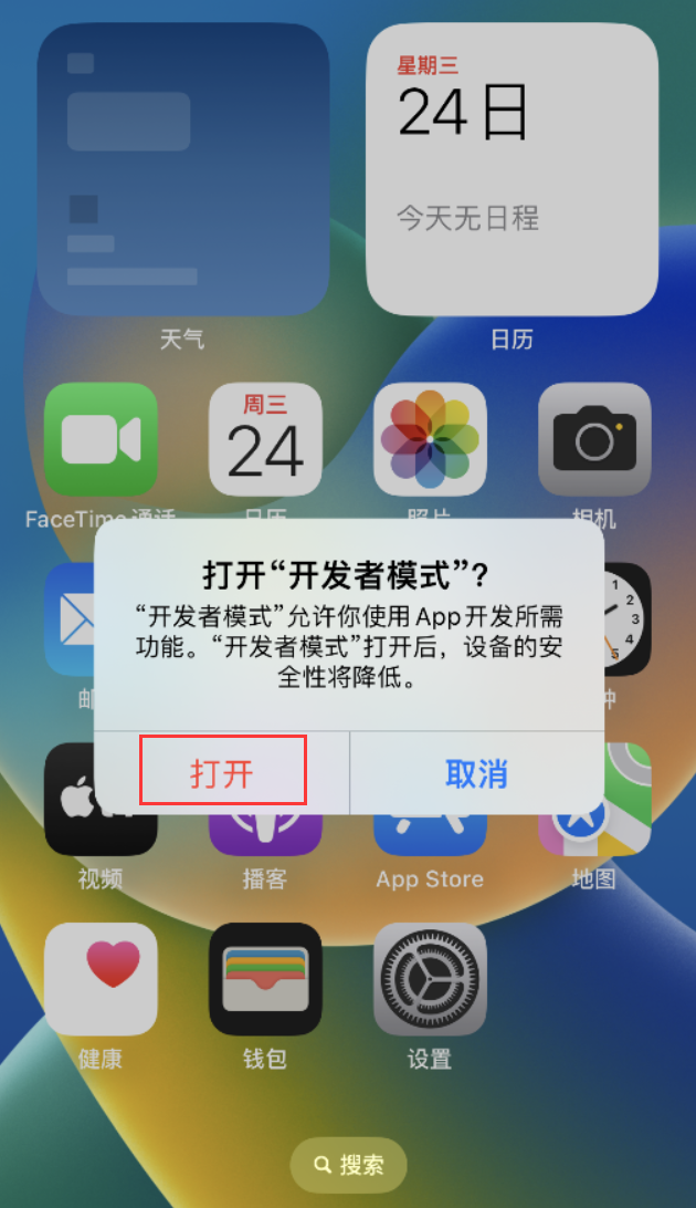 大新苹果手机维修分享如何打开开发者模式 