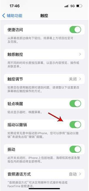 大新苹果手机维修分享iPhone手机如何设置摇一摇删除文字 