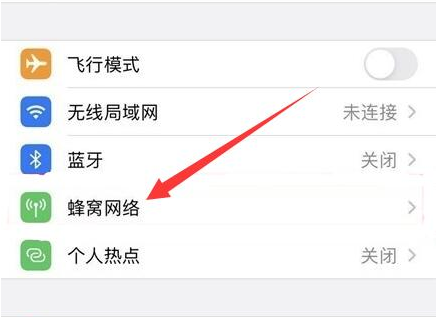 大新苹果手机维修分享iPhone手机4G网络怎么设置成5G网络 