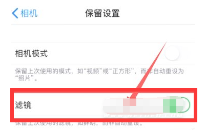 大新苹果13维修分享iPhone13拍照有绿点是怎么回事 