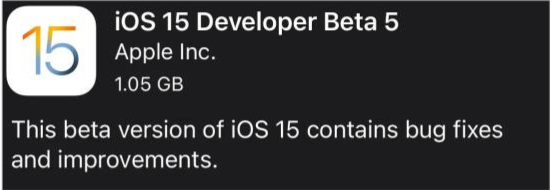 大新苹果手机维修分享如何升级到iOS15.0 beta5 