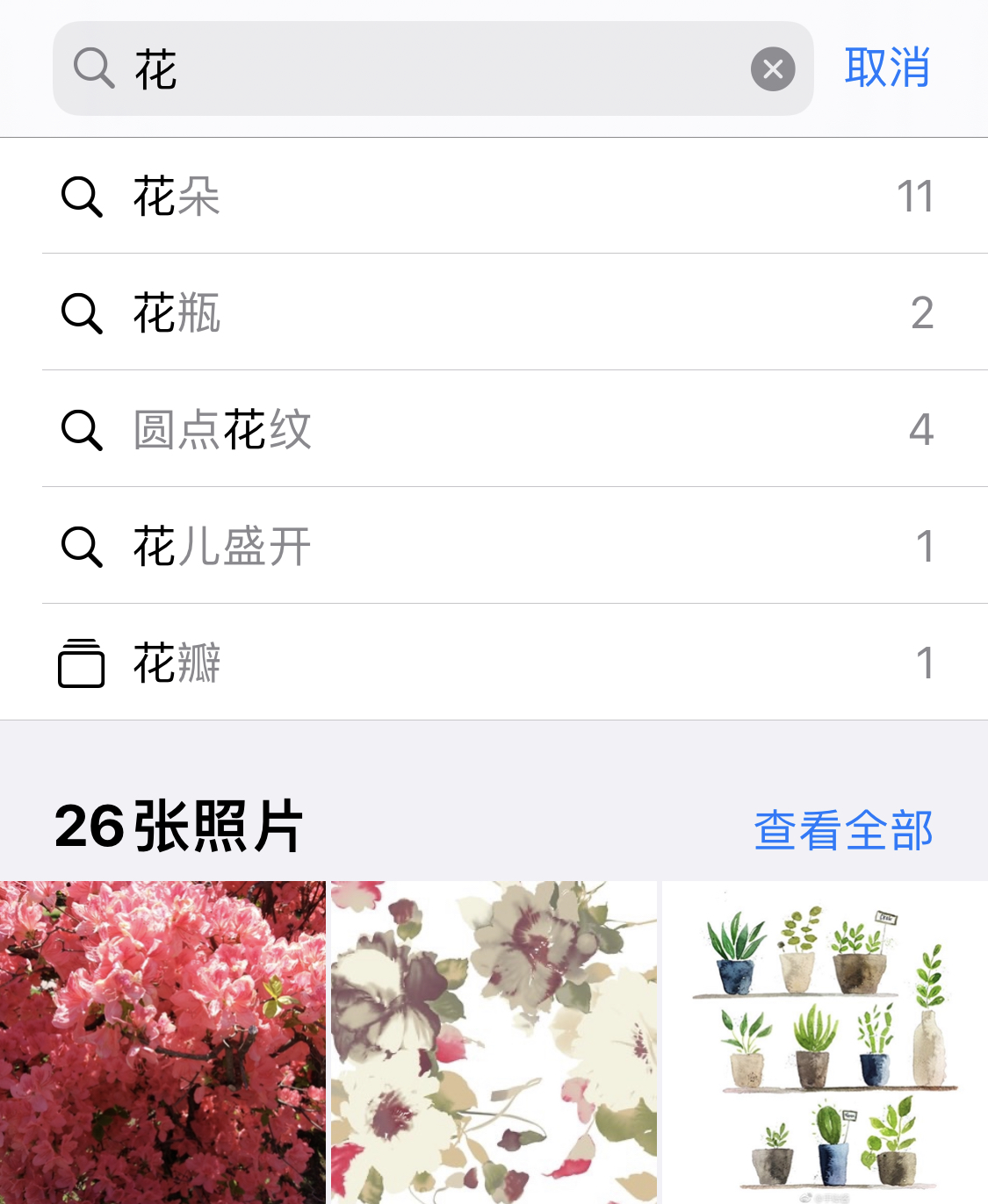 大新苹果手机维修分享iPhone 小技巧 