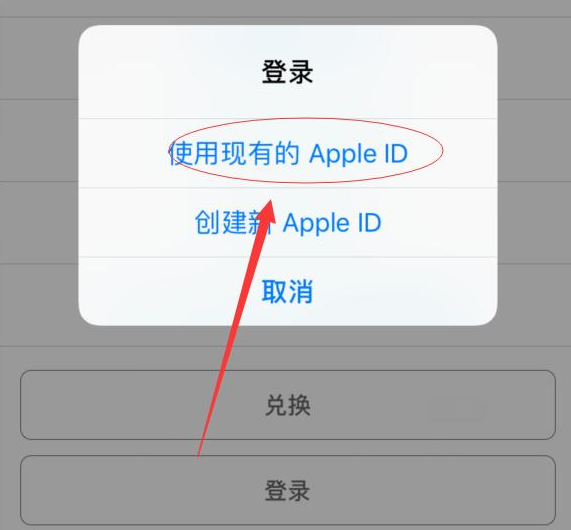 大新苹果手机维修分享两台iPhone设备可以同时登录一个Apple ID吗 