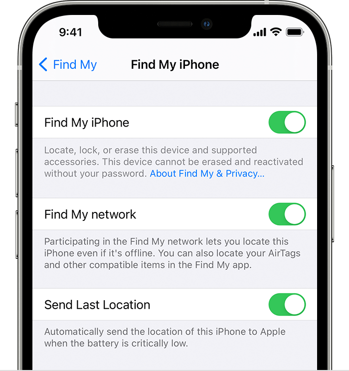 大新苹果手机维修分享使用 iPhone 的内建安全性和隐私保护 
