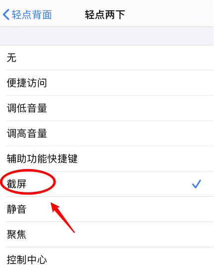 大新苹果手机维修分享iPhone12如何启用双击截屏 