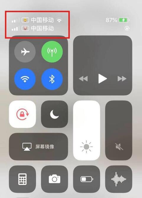大新苹果手机维修分享为 iPhone 12 双卡设置标签 