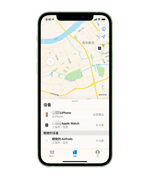 大新苹果手机维修分享iPhone “家人共享”功能 