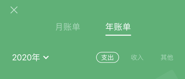 大新苹果手机维修分享如何在 iPhone 上查看支付宝和微信年支出账单 