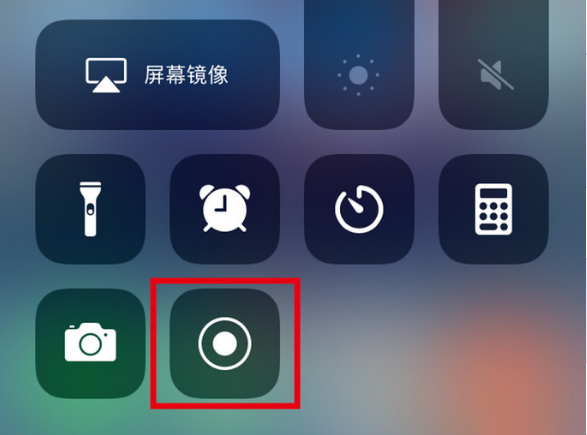 大新苹果手机维修分享iPhone12录屏方法教程 