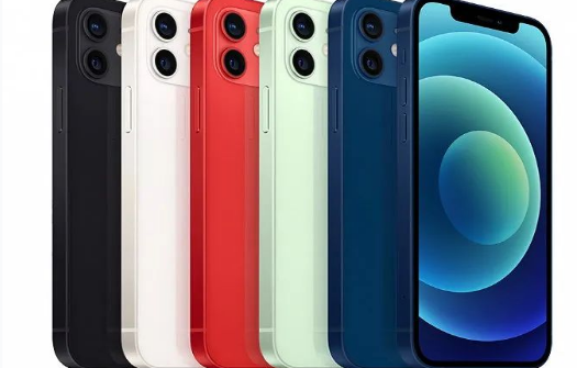 大新苹果维修点分享iPhone12 Pro Max进水维修 